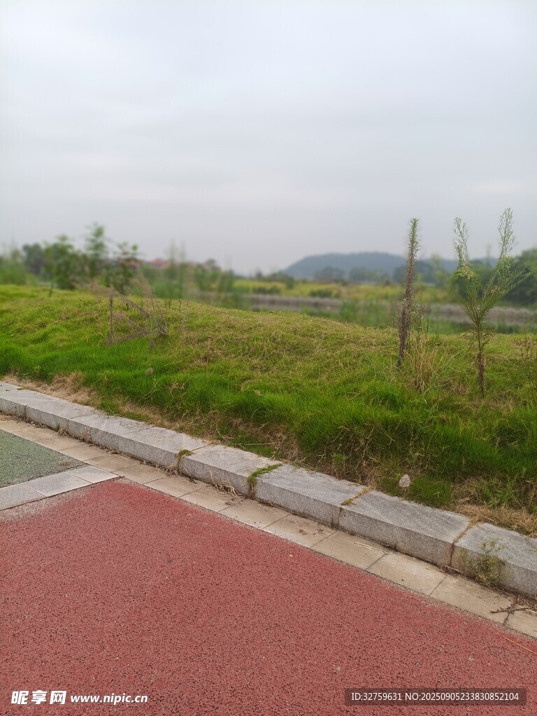 戶外紅色步道與綠植景觀