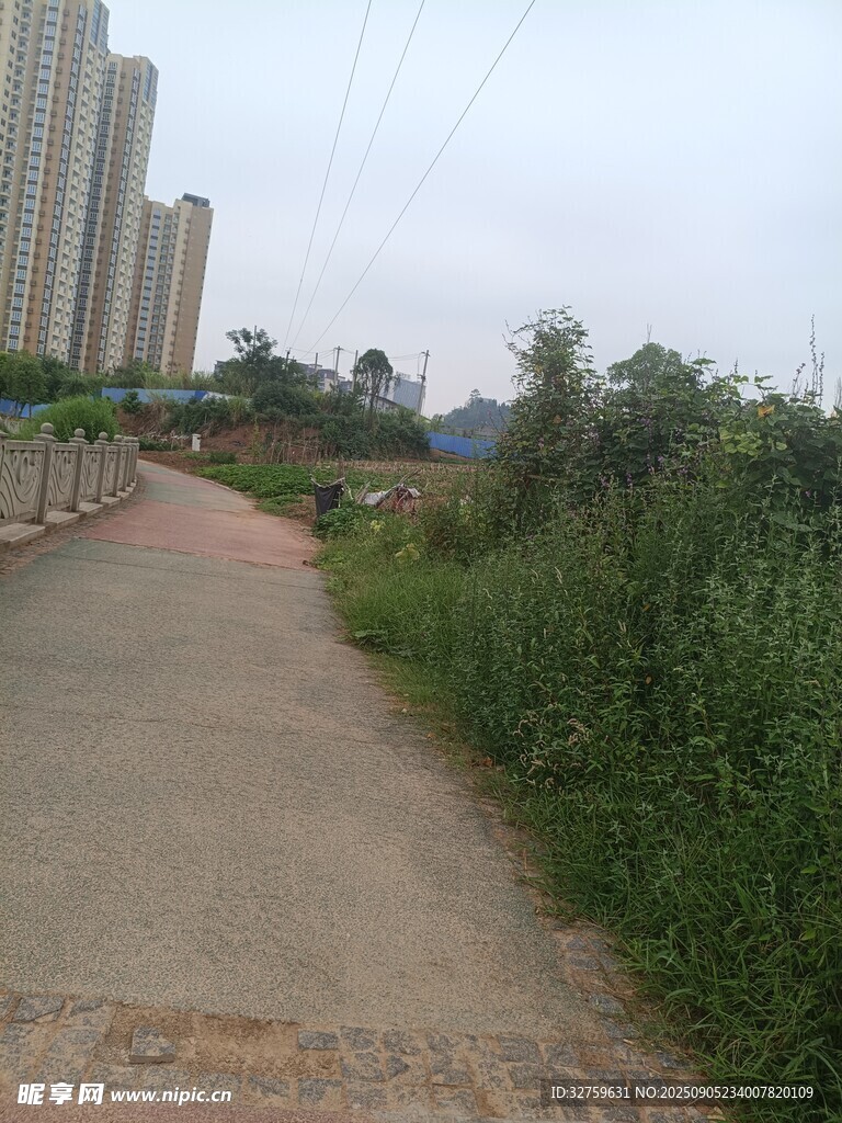 城郊小路旁的綠植與建筑