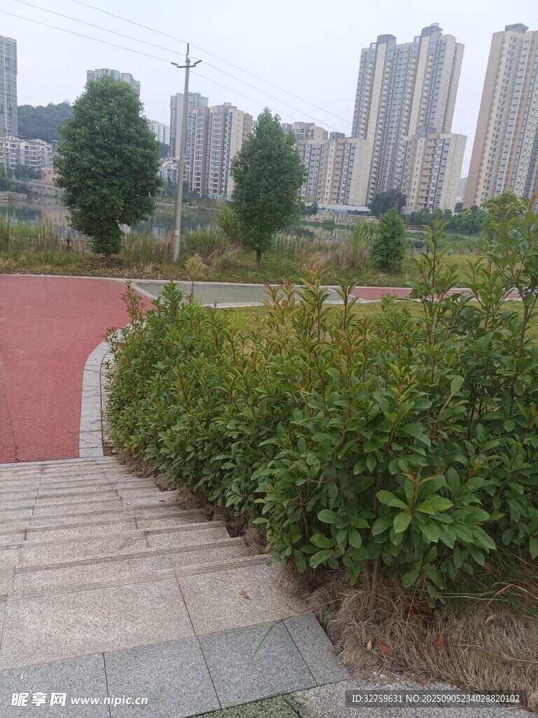 城市公園中的綠植與步道