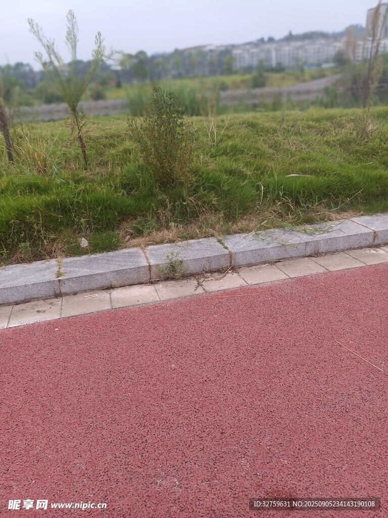 紅色步道旁的綠意景觀