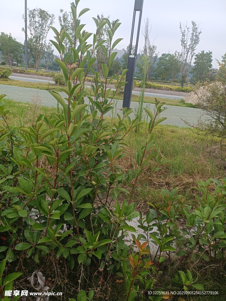 鄉(xiāng)村田野間的自然景致