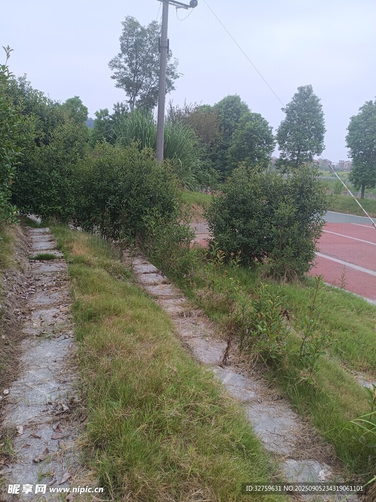 雨后泥濘的校園小路
