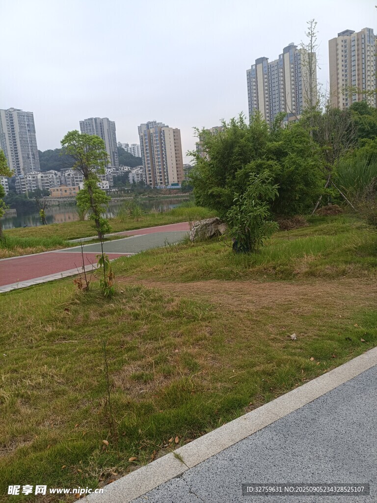 城郊綠地與遠處高樓景觀