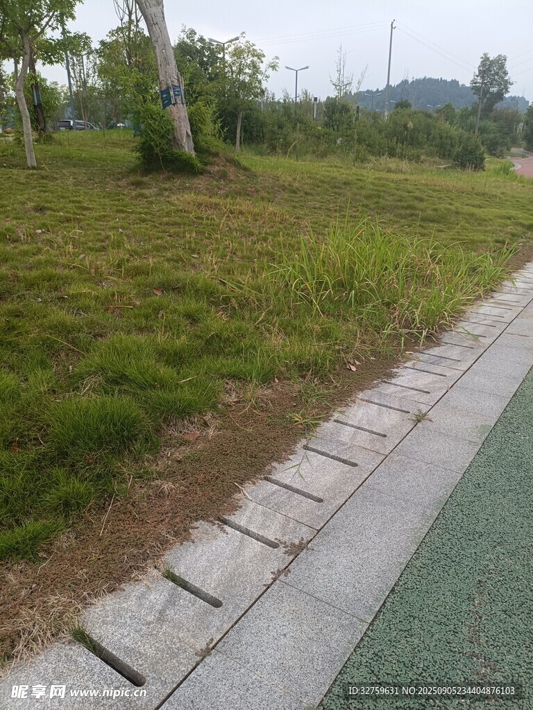 路邊草地與步道景觀