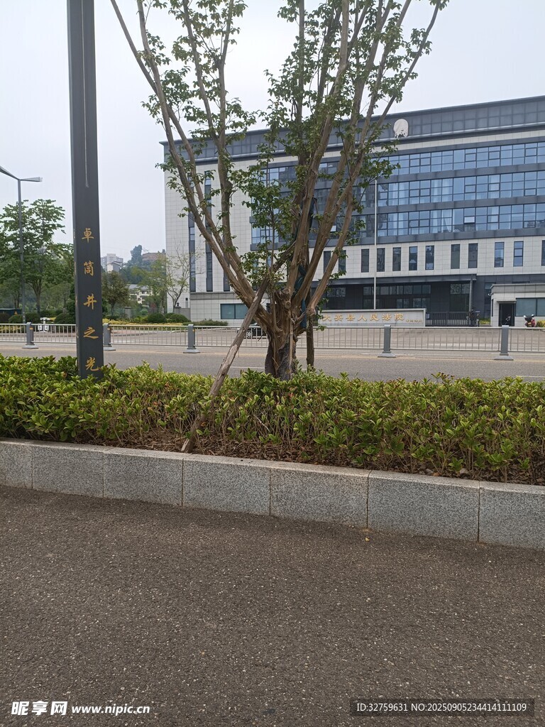 現(xiàn)代建筑旁的綠植景觀