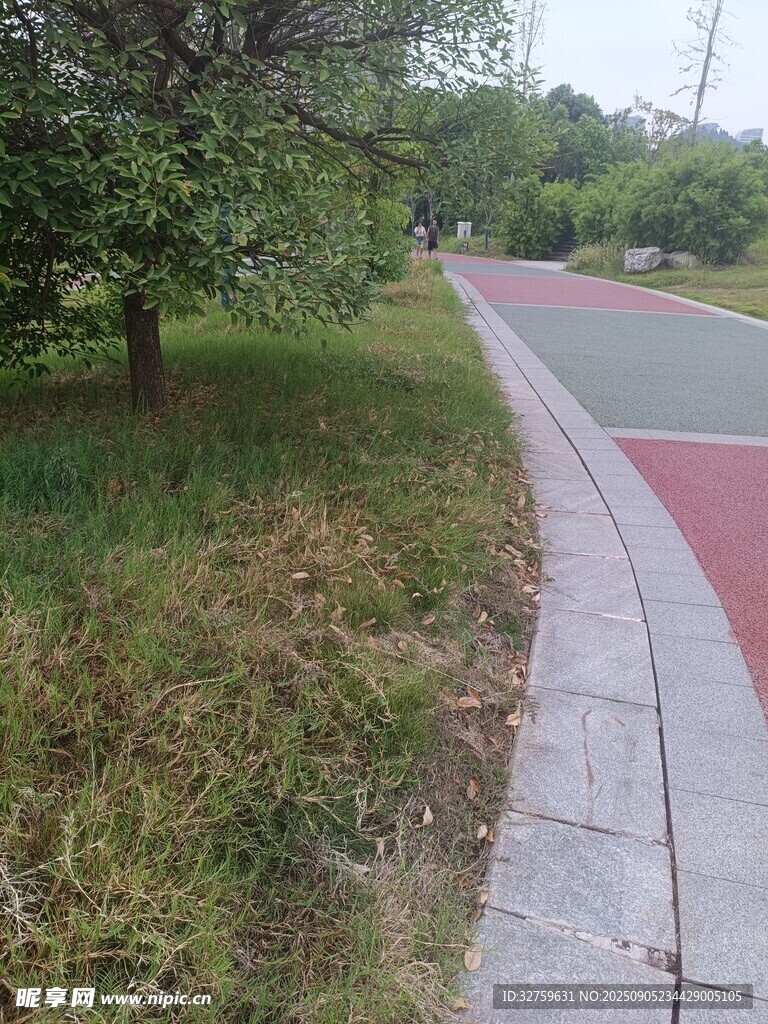 公園彩色步道旁的綠植