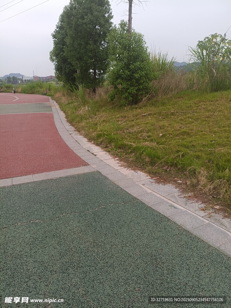 彩色步道旁的綠植景觀