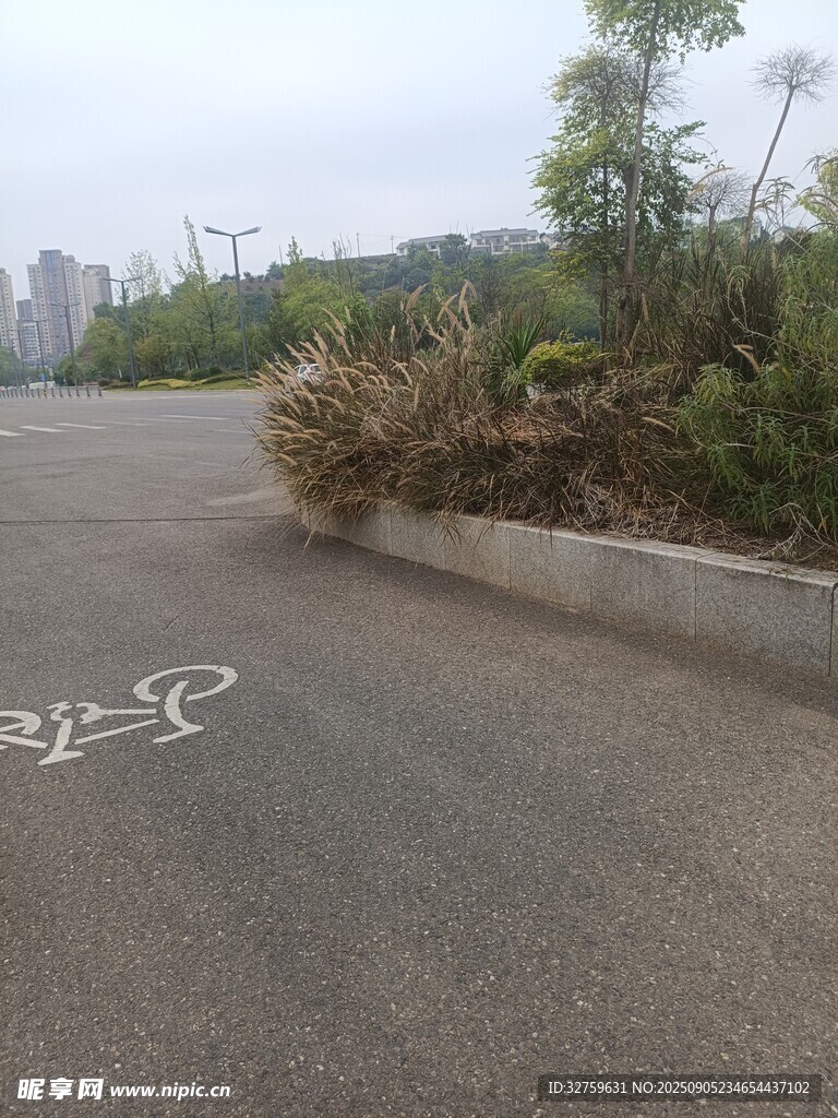 路邊自行車停放標識區(qū)域