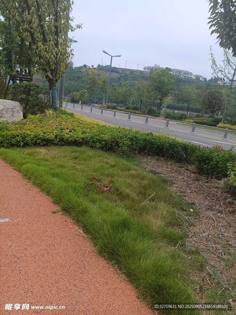 城市中的清新綠植步道
