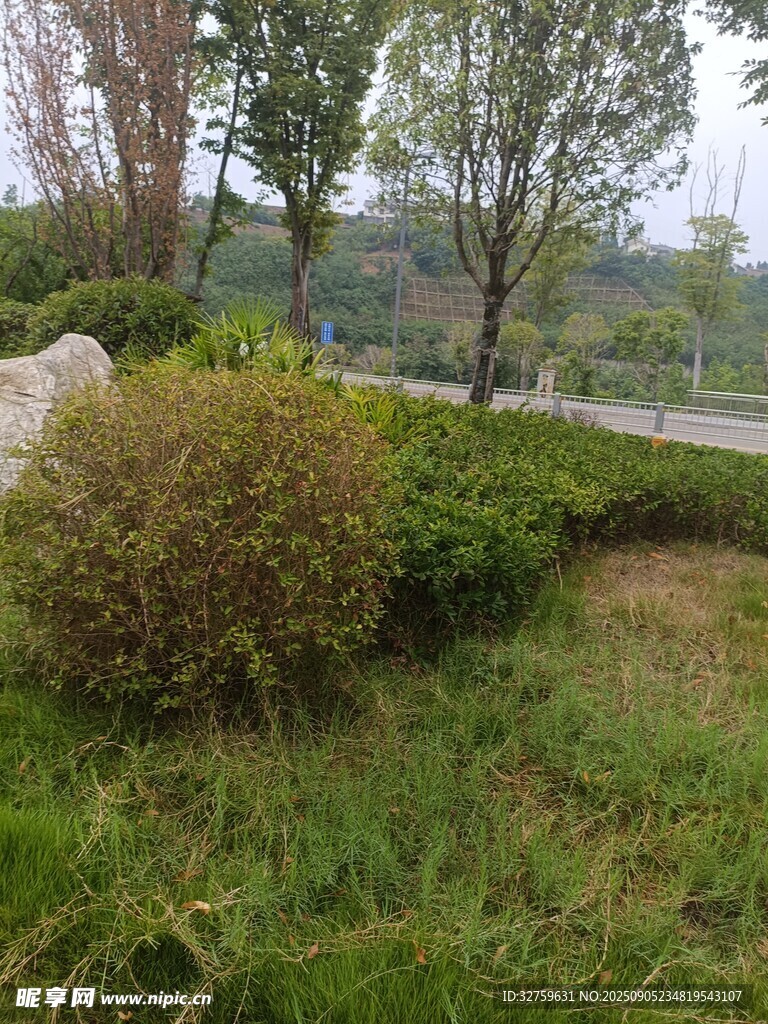 戶外綠意盎然的園林景觀