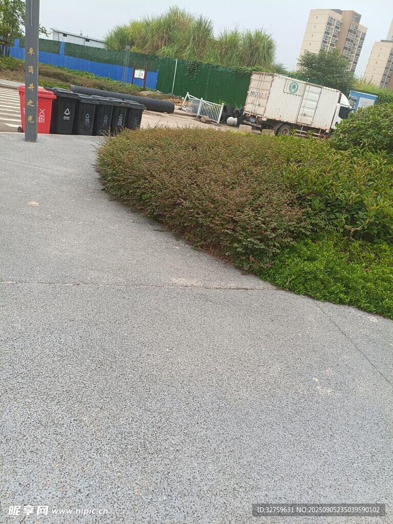 戶外道路旁的綠植景觀