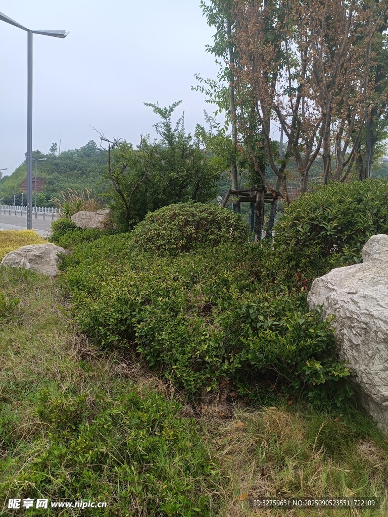 路邊綠植景觀