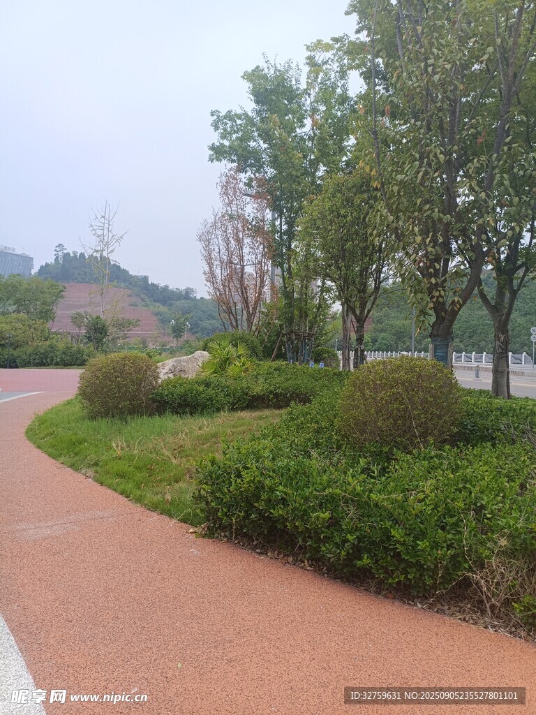 公園中的蜿蜒小徑與綠植