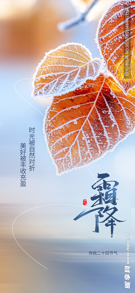 霜降時(shí)節(jié)秋葉飛鳥(niǎo)之景