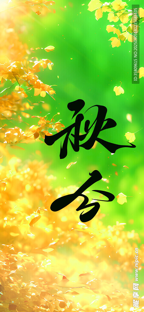 秋分時節(jié) 黃綠交織美景