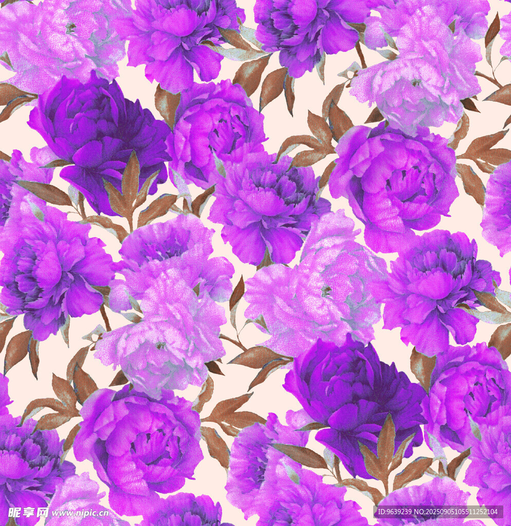 紫色 花卉
