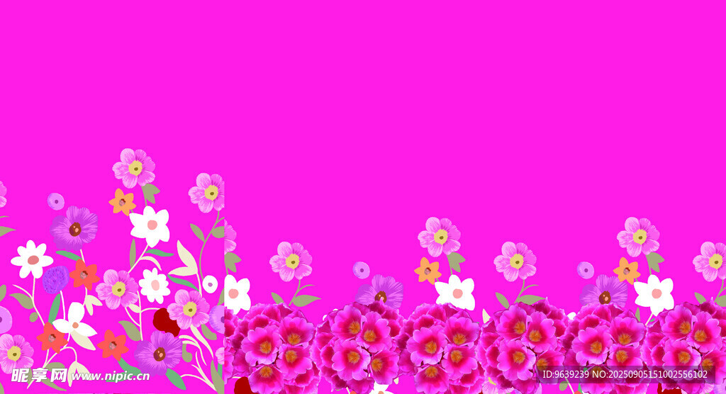 粉色 花卉 