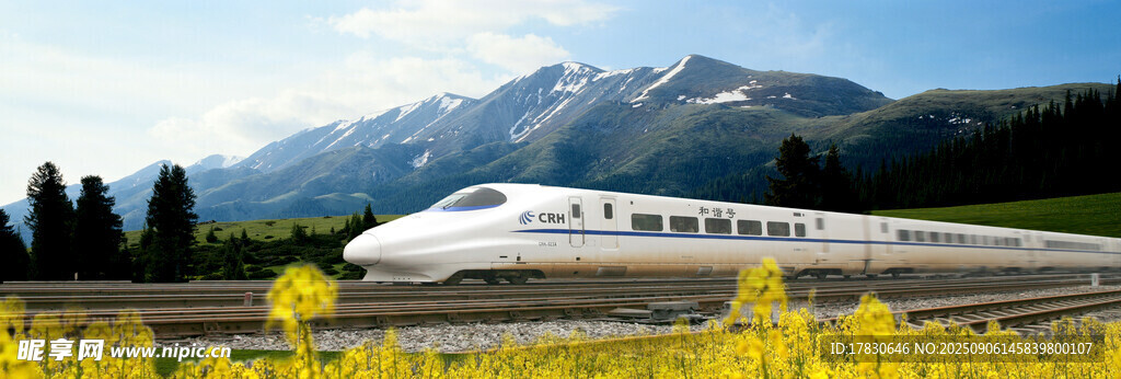 山間花海旁的高速列車