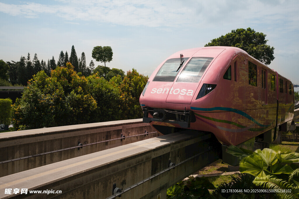 粉色列車穿梭于綠樹間