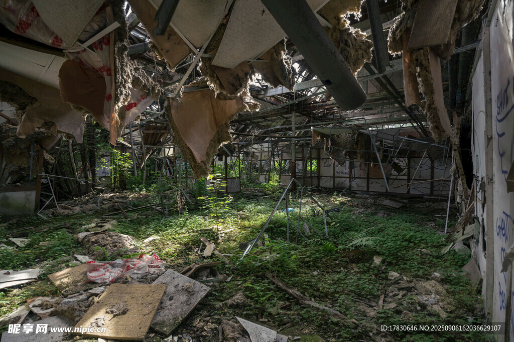 廢棄小屋內(nèi)的自然交織景象
