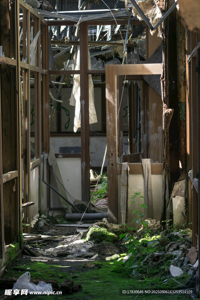 廢棄房屋內(nèi)的荒蕪景象