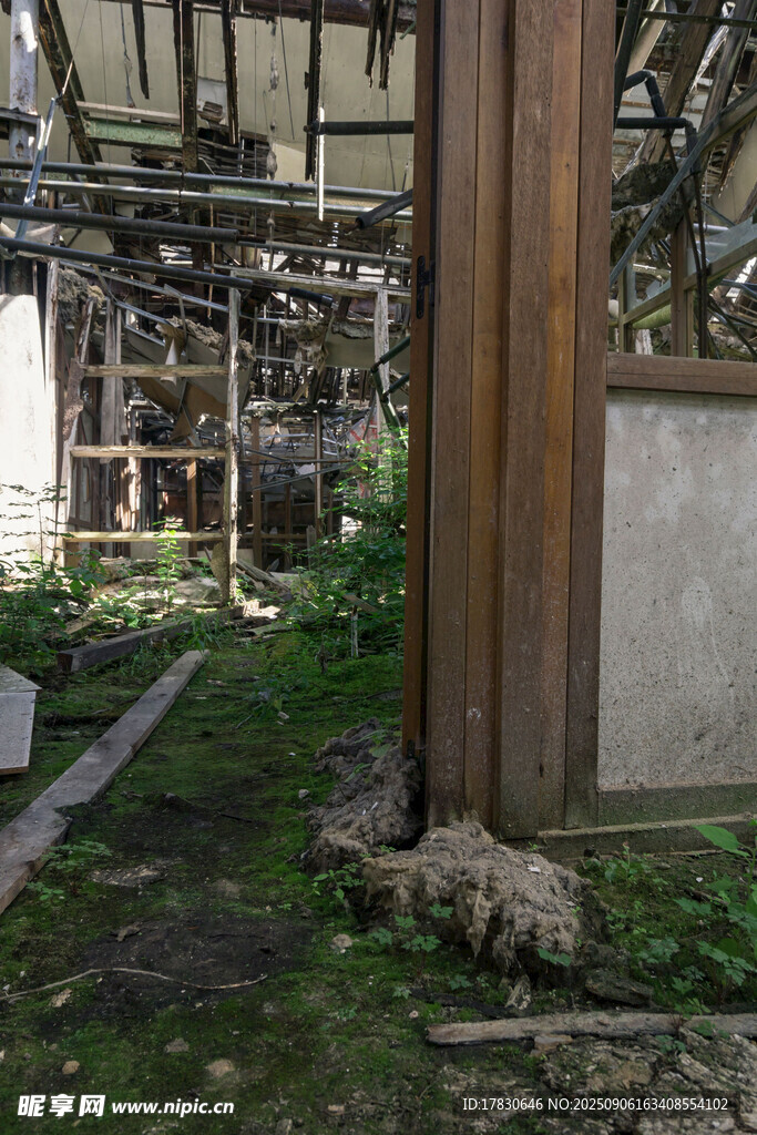 廢棄屋內(nèi)一角的荒蕪景象