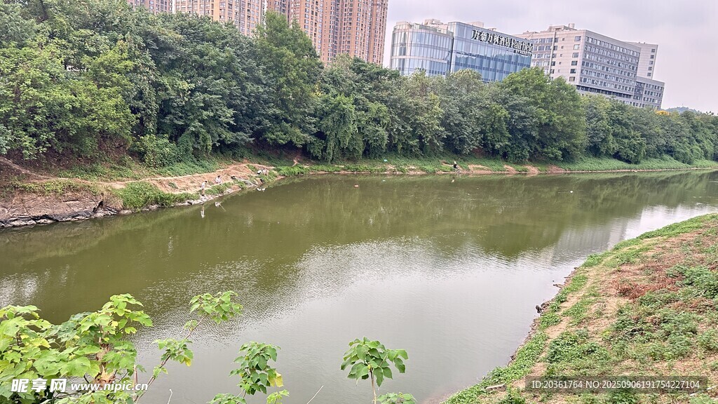 城市中的靜謐湖邊景致