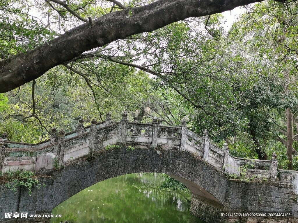 古橋掩映于蔥郁樹林間