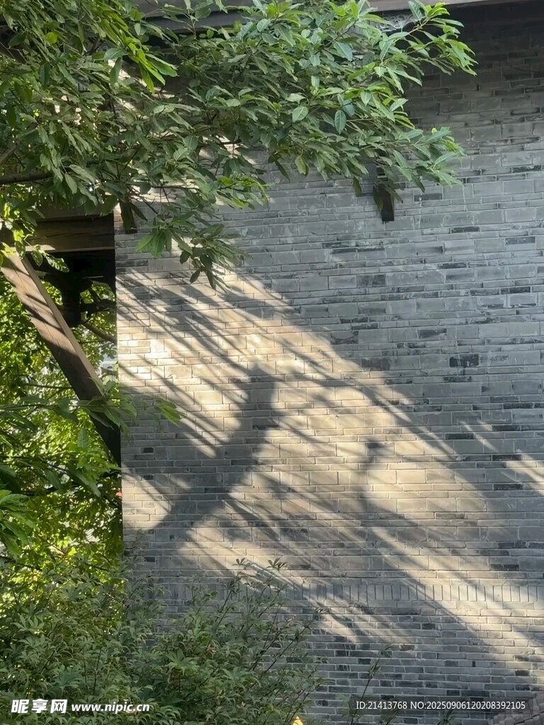 斑駁光影下的磚墻與綠植