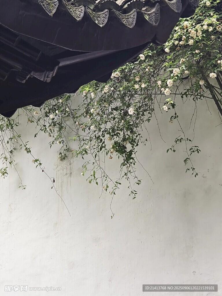 中式白墻綠植屋檐景致