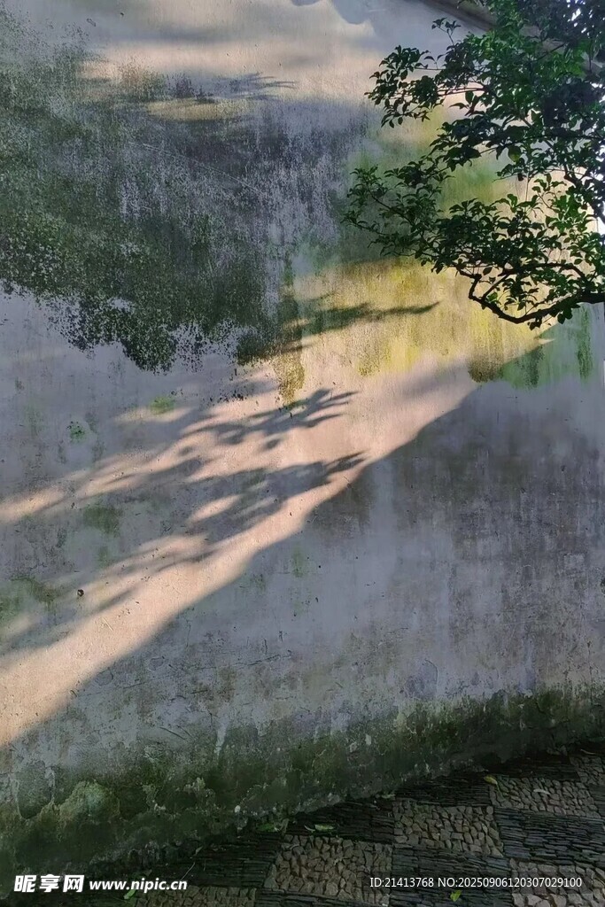 林間光影下的靜謐湖水