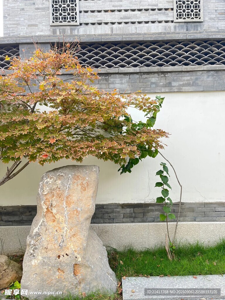 中式庭院景石綠植一角