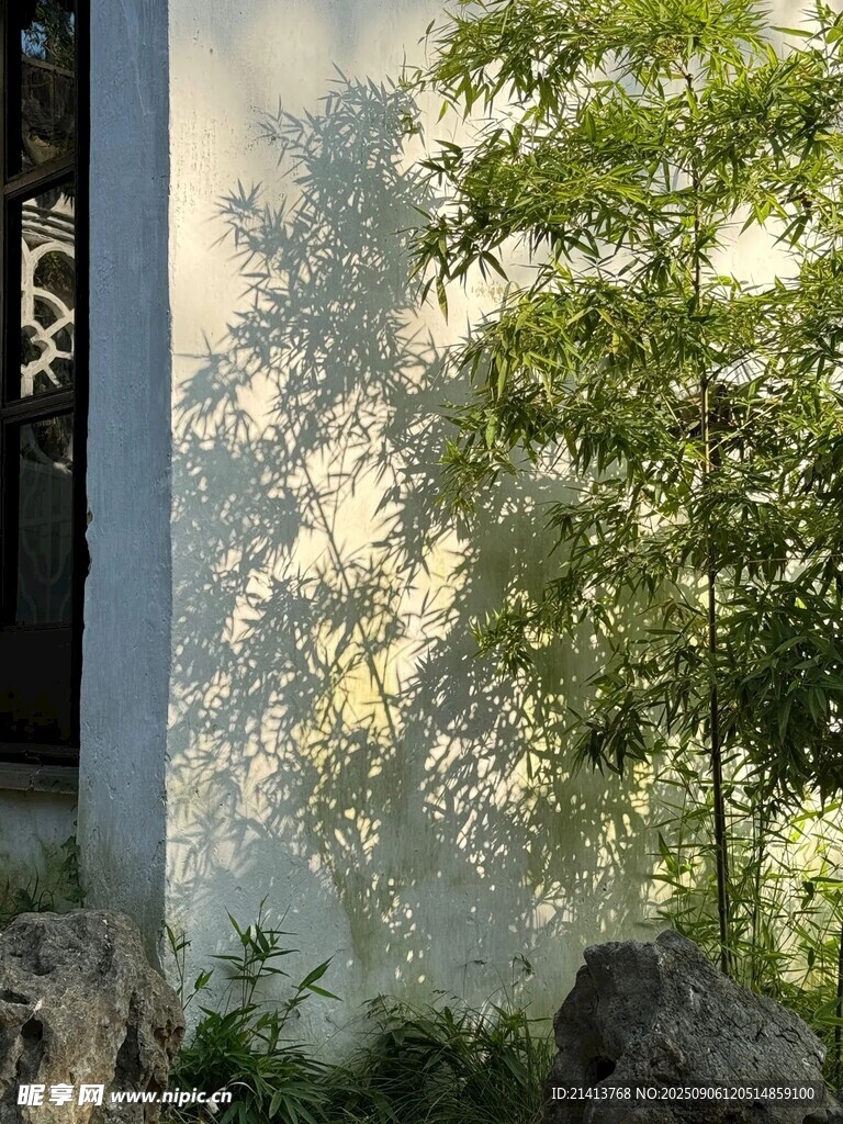 白墻綠植間的光影景致