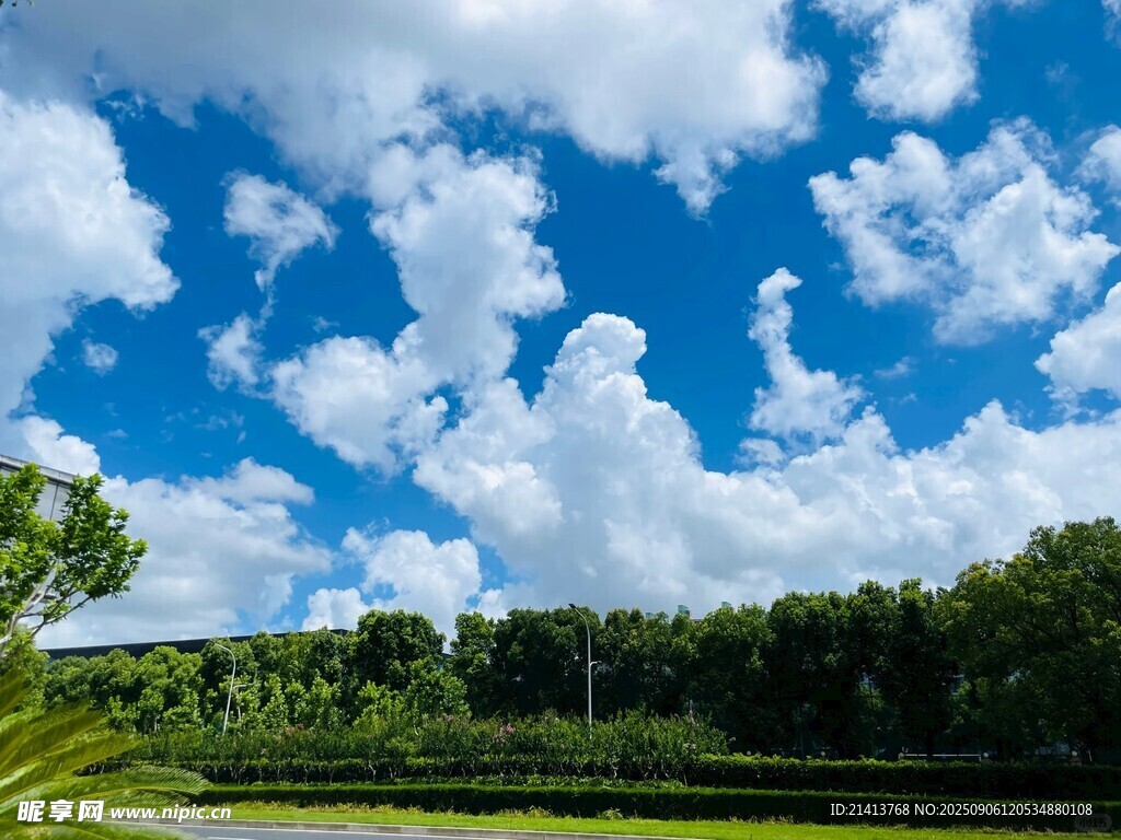 藍天白云下的綠野風光