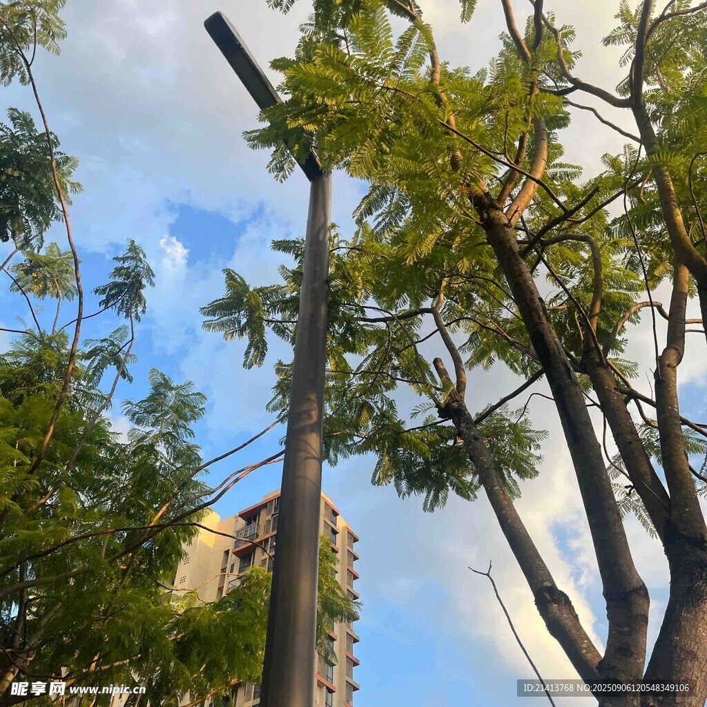 藍(lán)天綠樹(shù)間的建筑景致