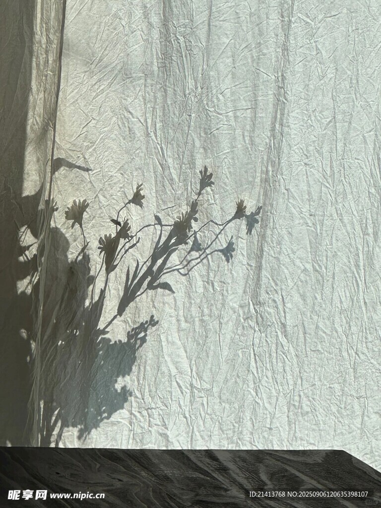 窗邊花影 靜謐美好瞬間