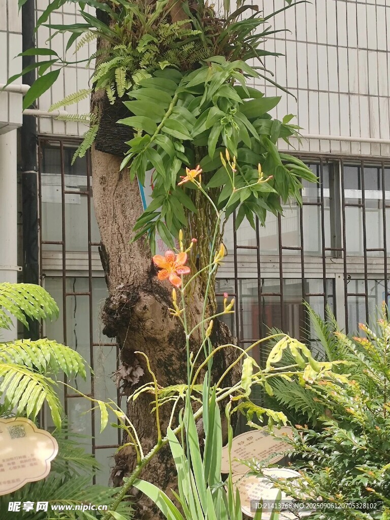 室內(nèi)綠植景觀一角