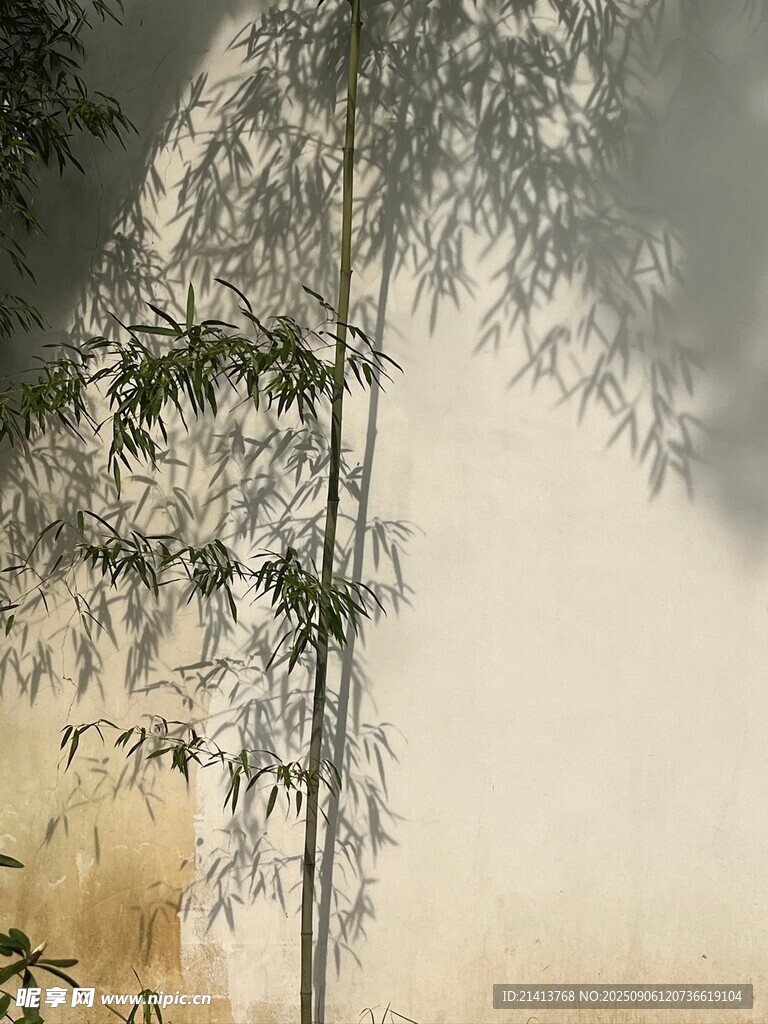 霧中孤樹