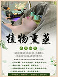 植物重蒸實驗展示