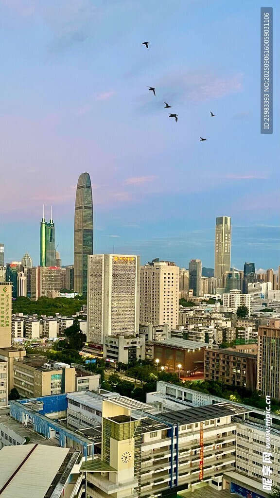城市鳥瞰