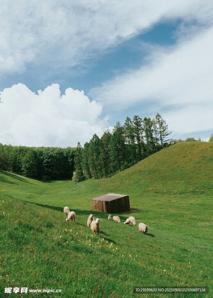 草原牧場景色
