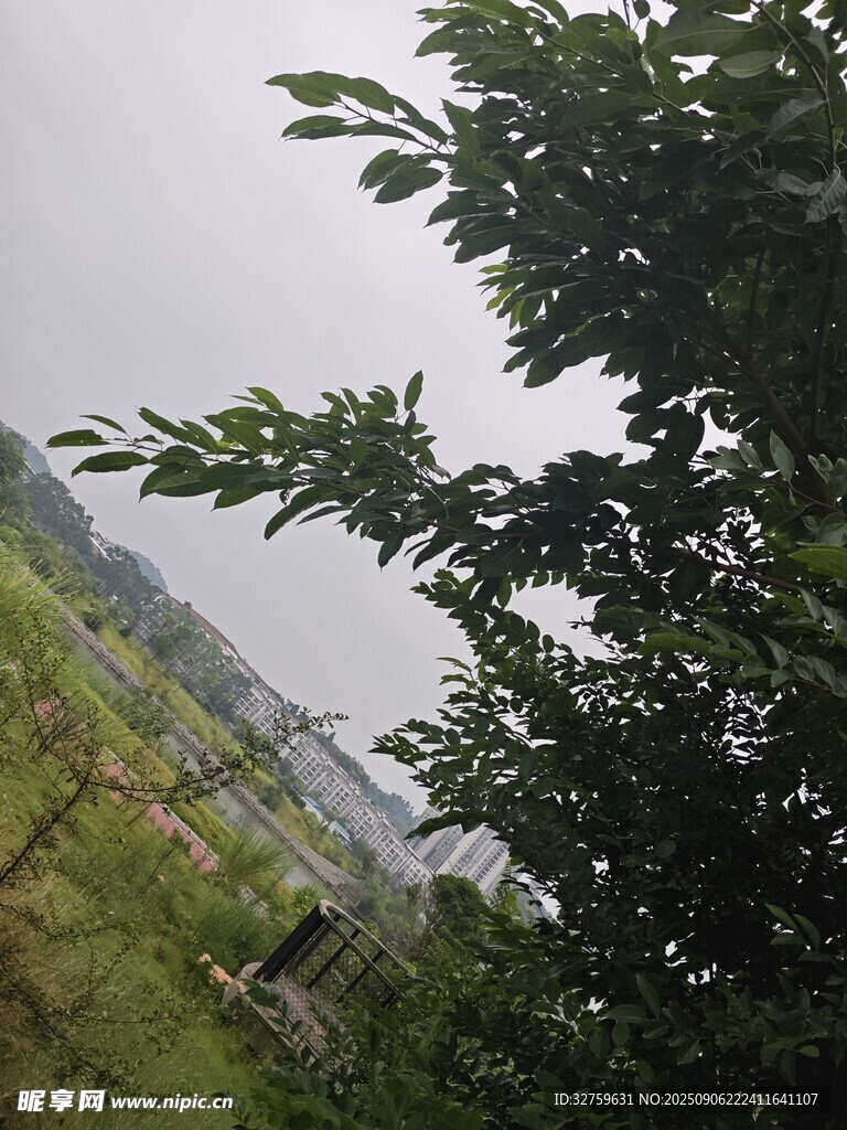 綠葉掩映下的戶外景致