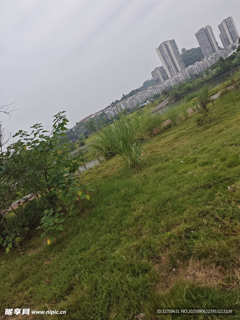 城郊草地與遠(yuǎn)處高樓景觀