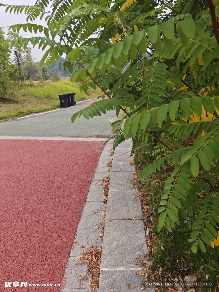 公園中色彩鮮艷的步道景觀