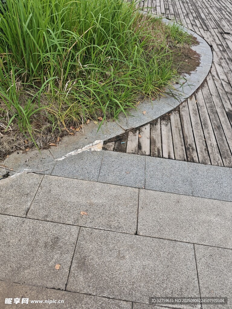 石板小徑旁的翠綠草叢
