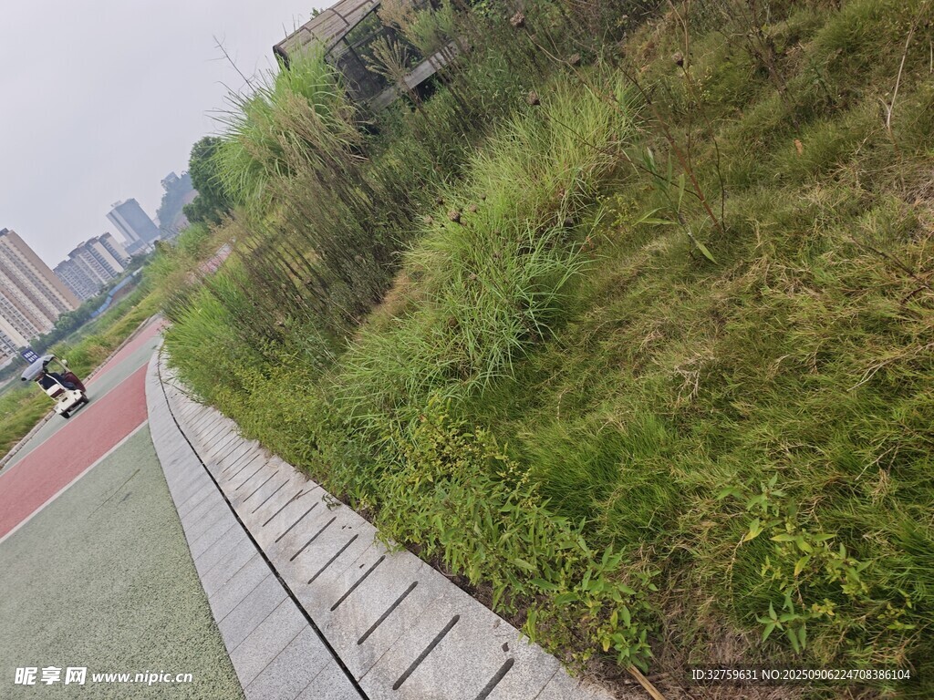 戶外綠地旁的步道景觀