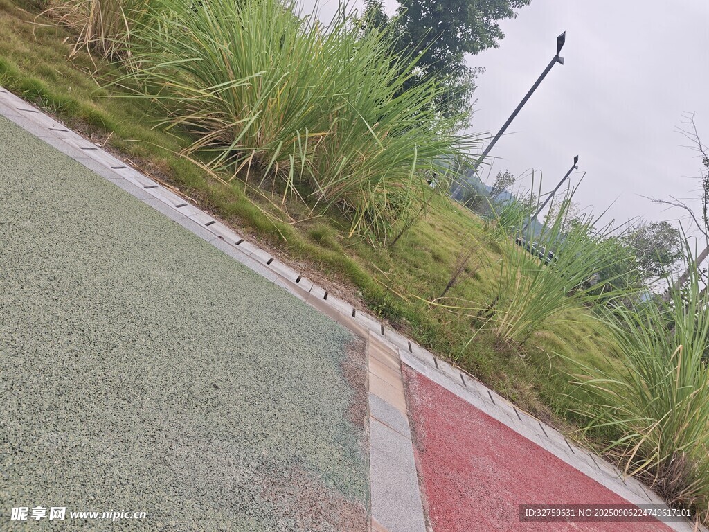 戶外彩色步道與綠植景觀