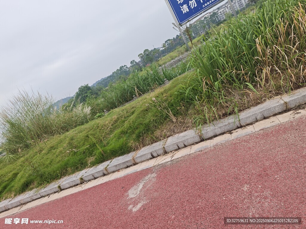 道路旁的綠化帶與標(biāo)識(shí)牌