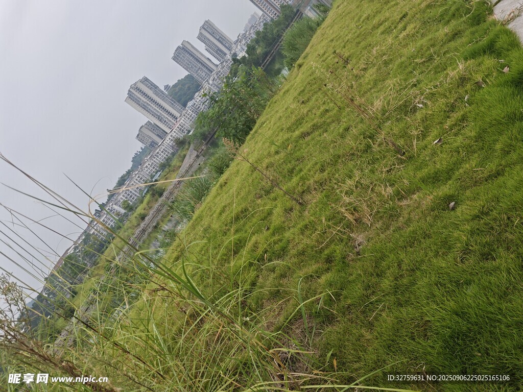 城市邊的翠綠草地
