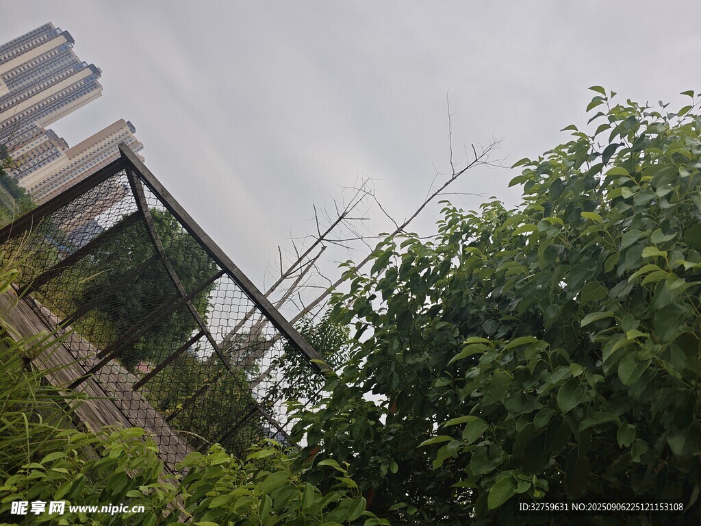 戶外綠植與建筑景觀